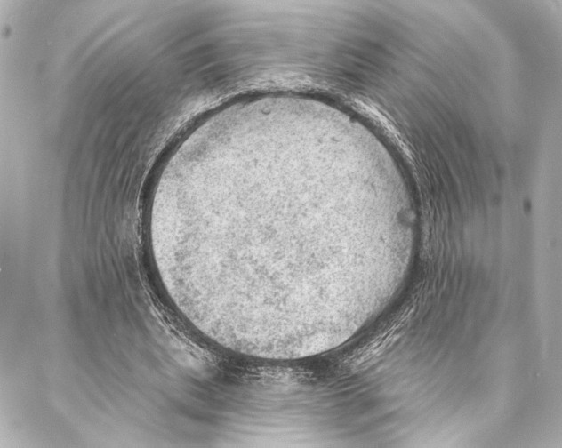 X0000086980439200705141720