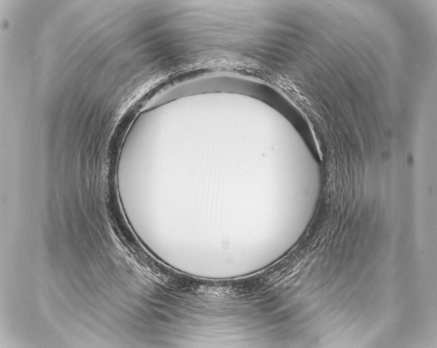 X0000086980440200705141720