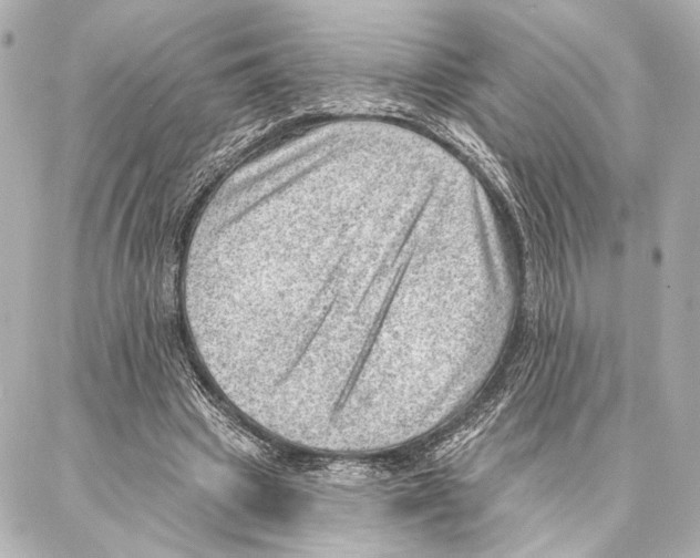 X0000086980441200705141720