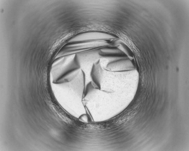 X0000086980442200705141720