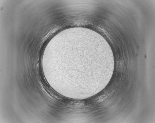 X0000086980443200705141720