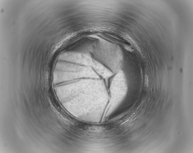 X0000086980444200705141720