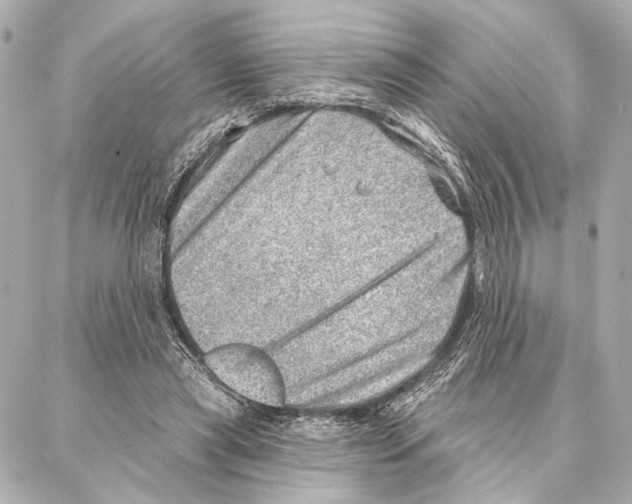 X0000086980445200705141720