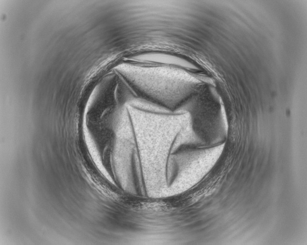 X0000086980446200705141720