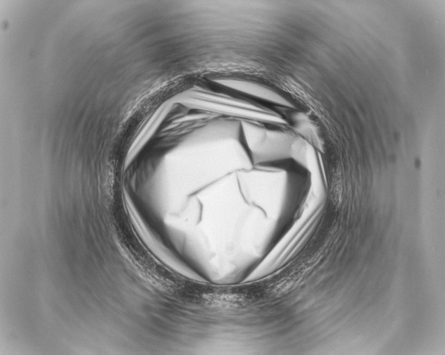 X0000086980448200705141720