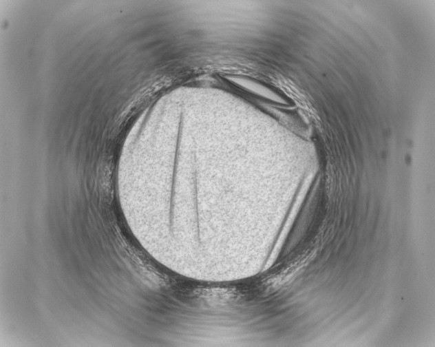 X0000086980449200705141720