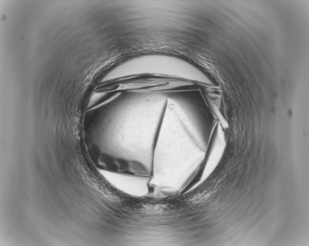 X0000086980450200705141720