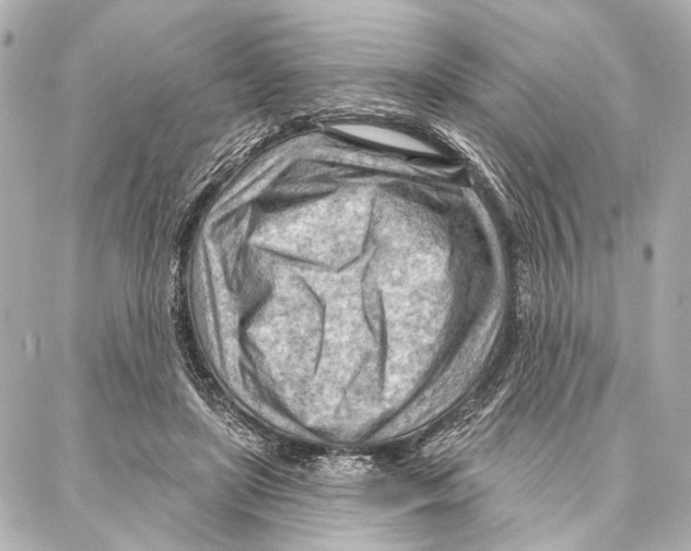 X0000086980451200705141720