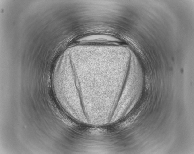 X0000086980453200705141720