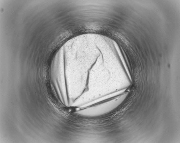 X0000086980455200705141720