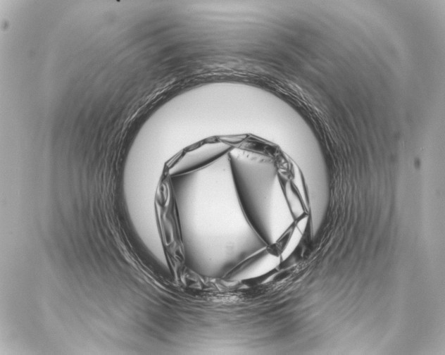 X0000086980456200705141720