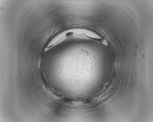 X0000086980458200705141720