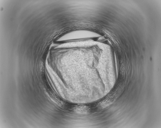 X0000086980459200705141720