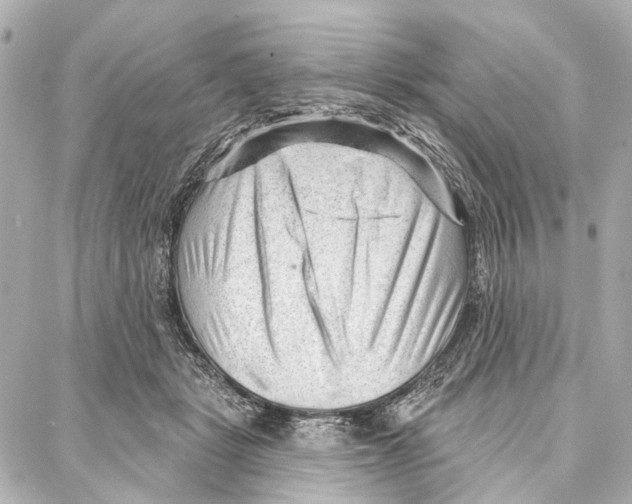 X0000086980461200705141720