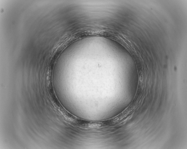 X0000086980462200705141720