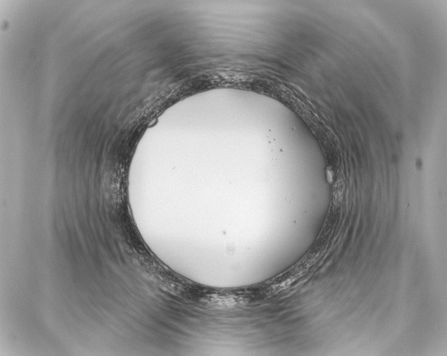 X0000086980464200705141720