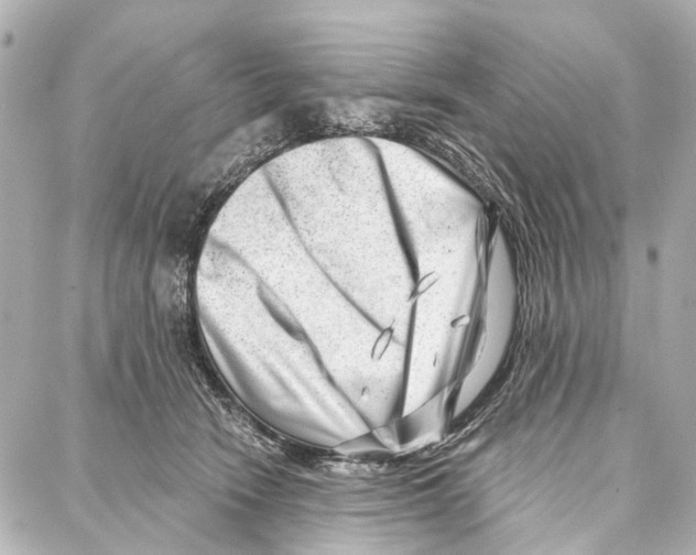 X0000086980466200705141720