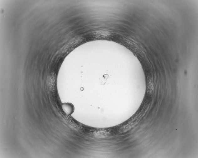 X0000086980468200705141720