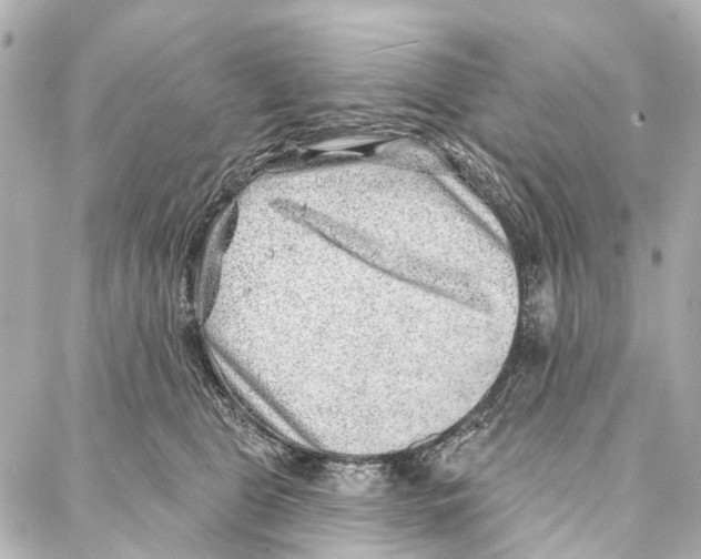 X0000086980469200705141720