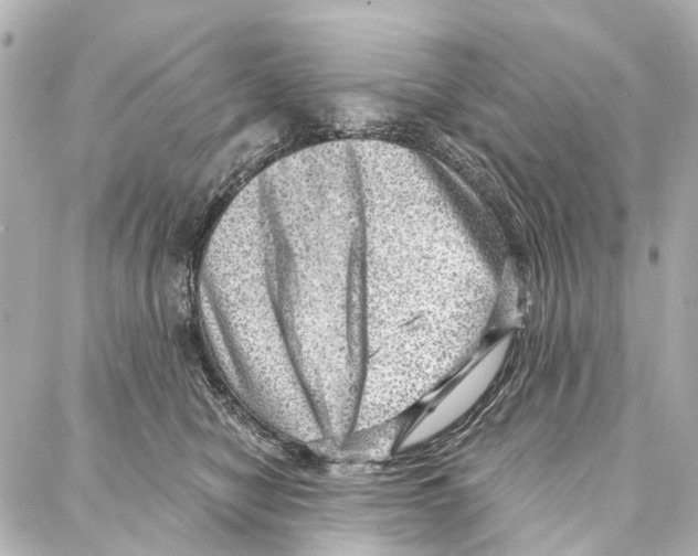 X0000086980470200705141720