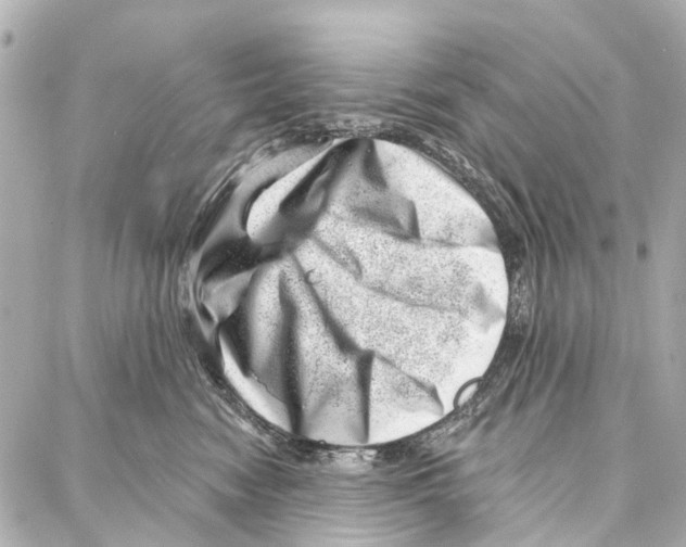 X0000086980474200705141720