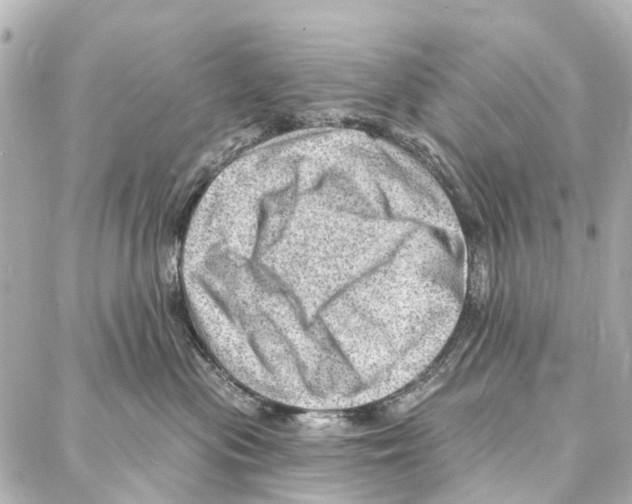 X0000086980477200705141720