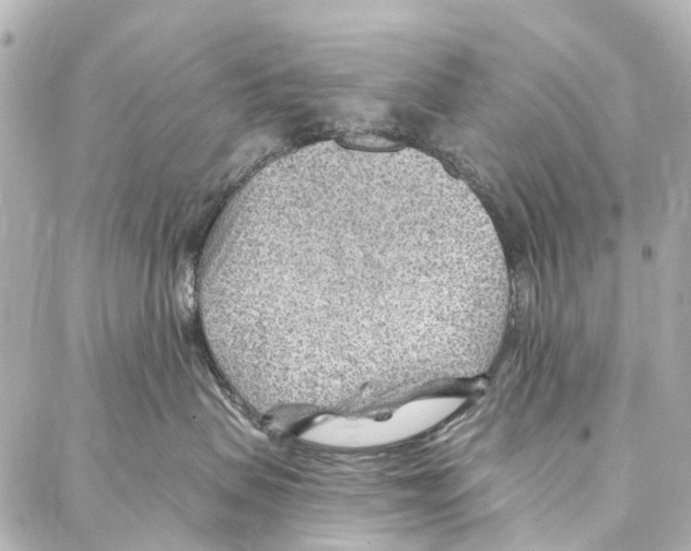 X0000086980479200705141720