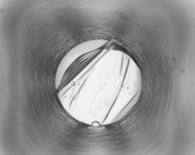 X0000086980480200705141720