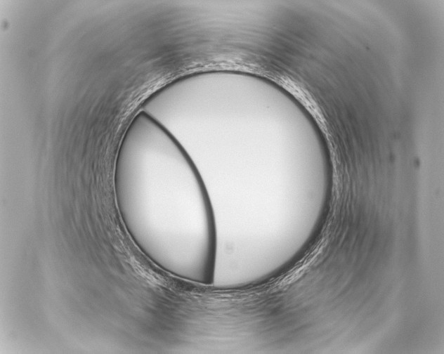 X0000086980481200705141720