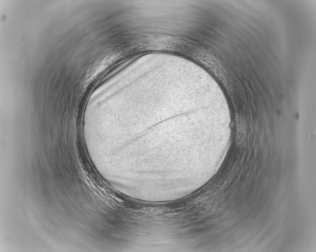 X0000086980482200705141720