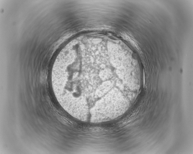 X0000086980483200705141720