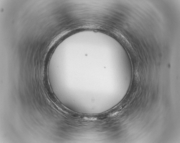 X0000086980484200705141719