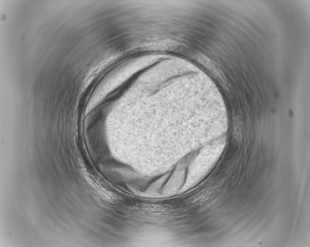 X0000086980486200705141719