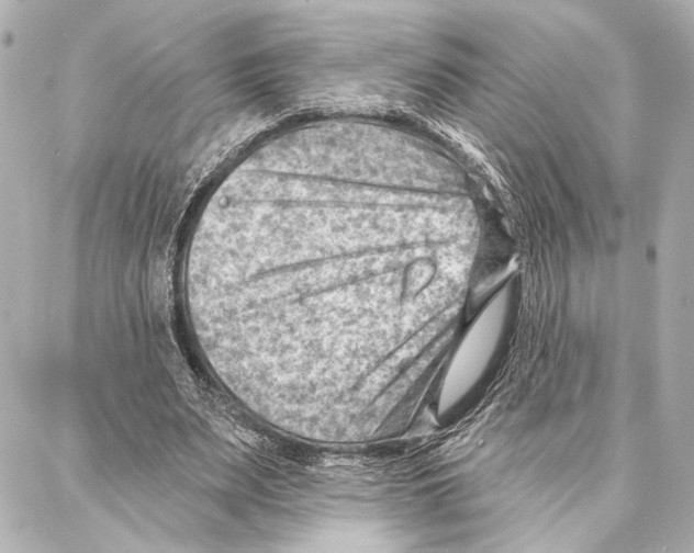 X0000086980487200705141719