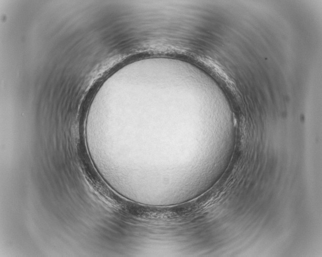 X0000086980488200705141719