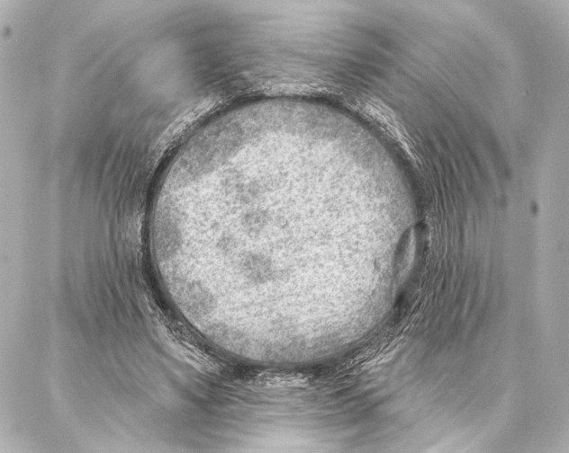 X0000086980491200705141719