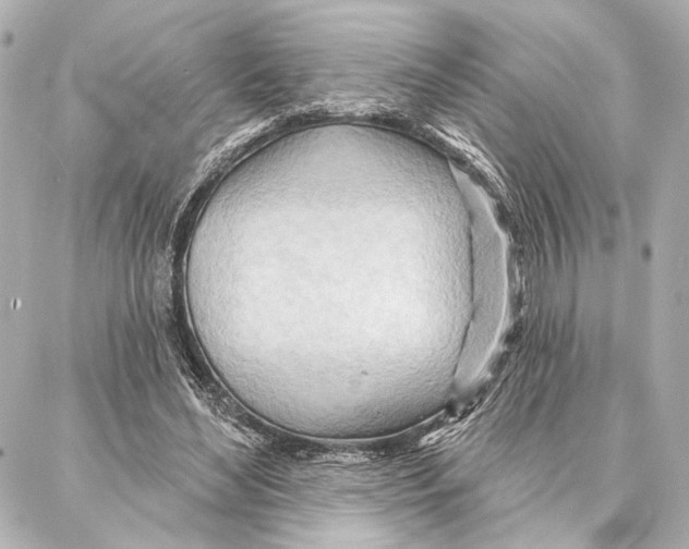 X0000086980492200705141719