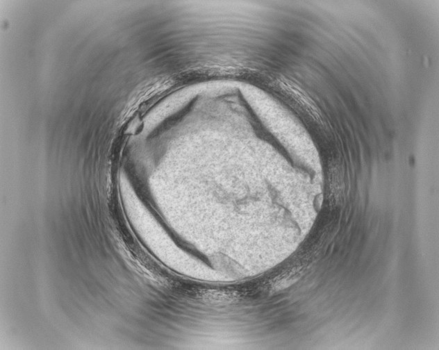 X0000086980494200705141719