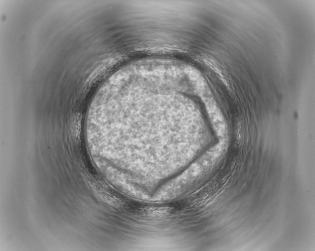 X0000086980495200705141719