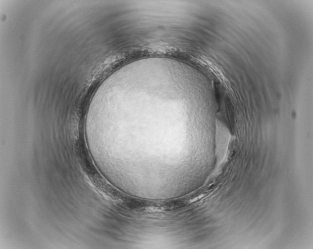 X0000086980496200705141719