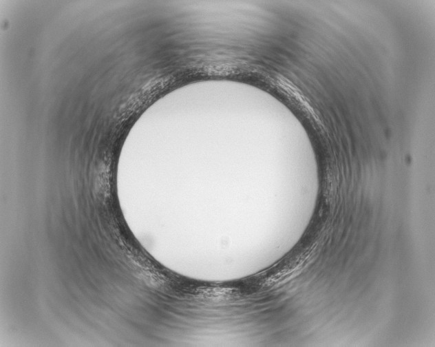 X0000086980497200705141719