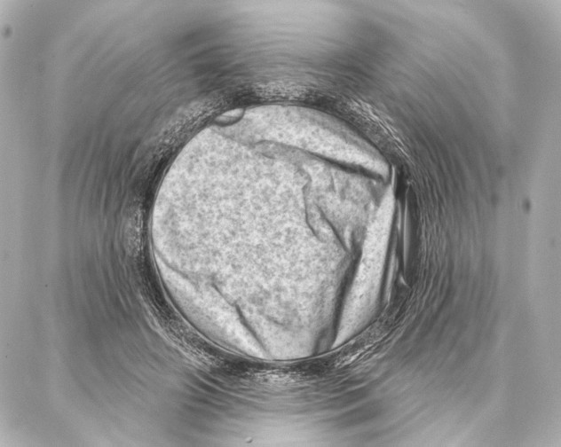 X0000086980498200705141719