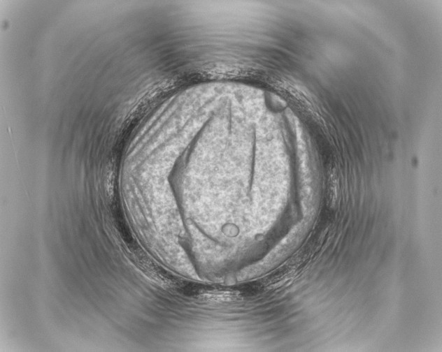 X0000086980499200705141719