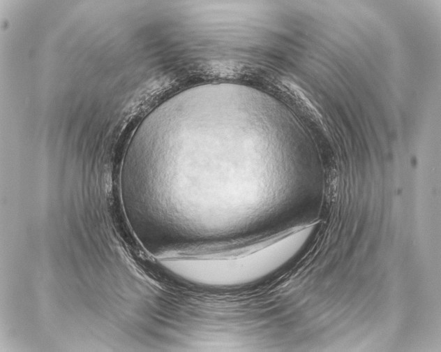 X0000086980500200705141719