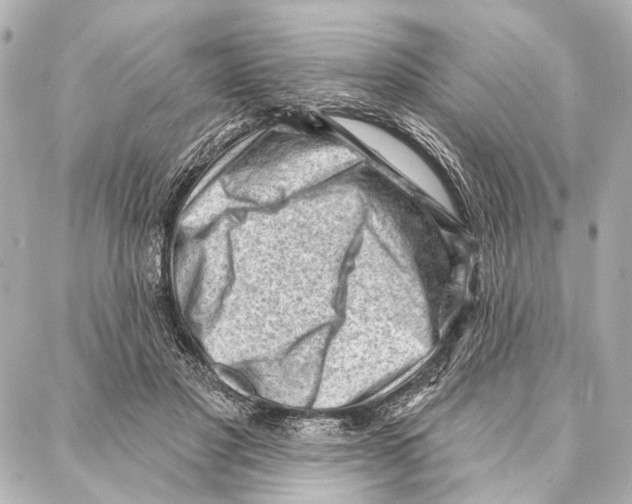 X0000086980501200705141719