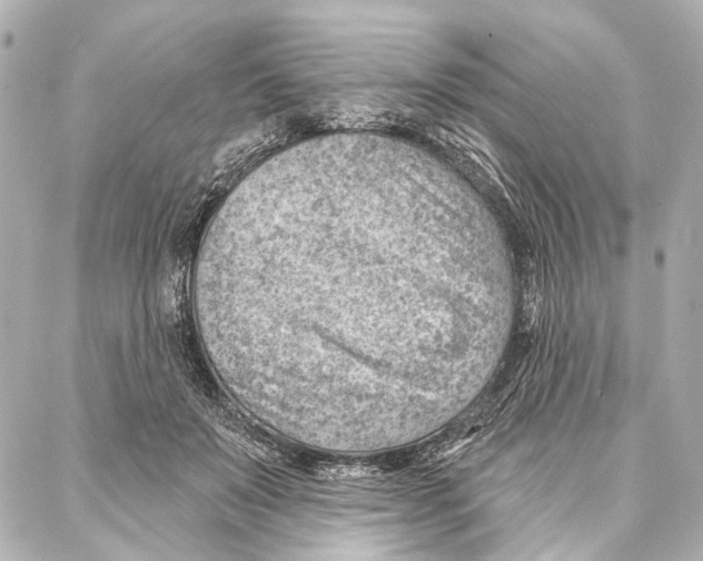 X0000086980503200705141719