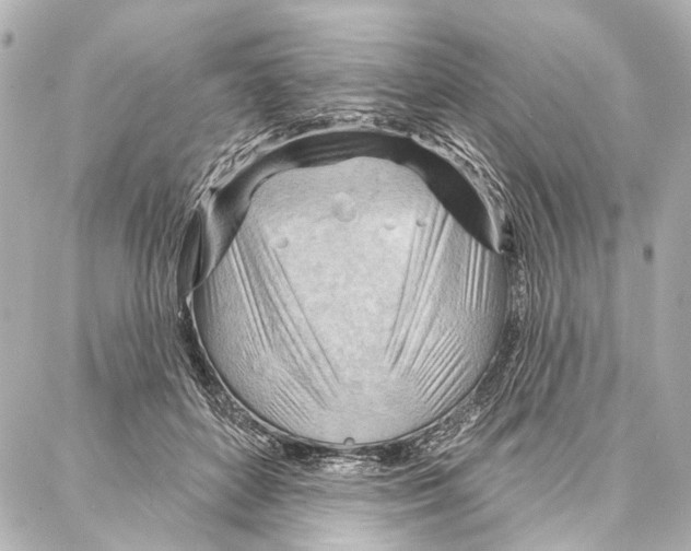 X0000086980504200705141719