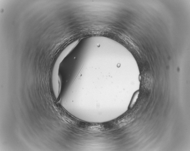 X0000086980505200705141719