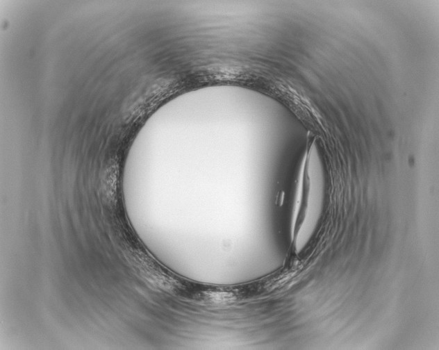 X0000086980509200705141719