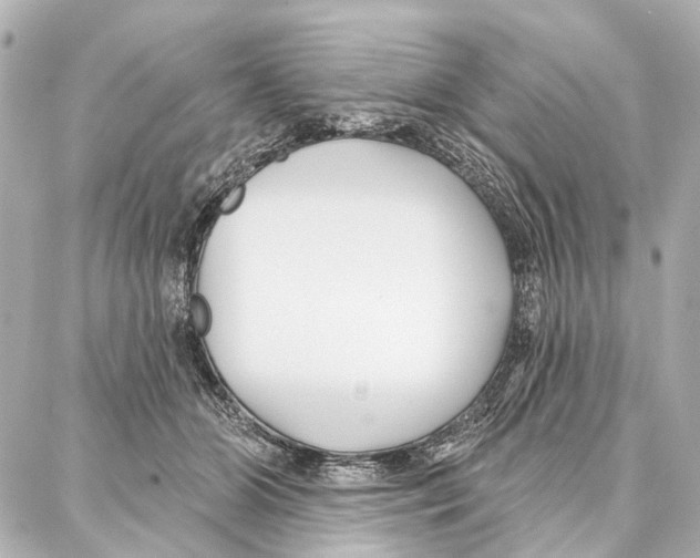 X0000086980510200705141719